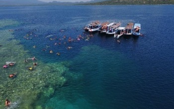 Sewa Perahu Ke Pulau Menjangan