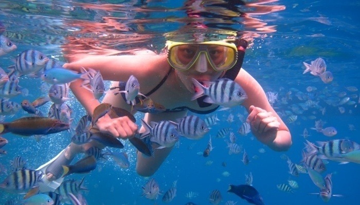 Snorkeling di Pulau Menjangan